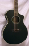 Breedlove AC25CM