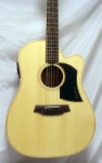 Cole Clark  FL1AC Cutaway Acou/elect Guitar