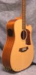 Cole Clark FL2AC Cutaway