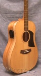 Cole Clark FL1A Acou/elect Guitar