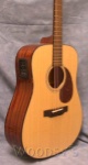 Breedlove RETRODSM Retro D/SM Acou/elect Guitar