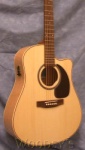 Seagull 25th Anniversary CW Flame Maple Acoustic Electric Guitar