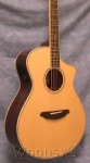 Breedlove Stage Series C25SR