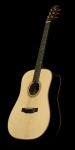 Bedell TB28G Spruce/Rosewood Dreadnought