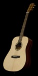 Great Divide by: Bedell Summit Series SGD18G Dreadnought Body Spruce/Sapele Acoustic Guitar