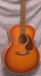 Seagull ENTOURAGEMJRUQ1 Entourage Mini Jumbo Rustic Q1