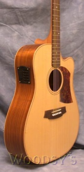 Cole Clark FL2AC Cutaway