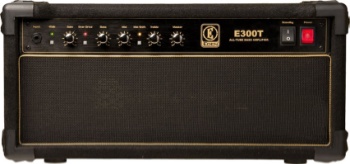 Eden E300t Tube Bass Head