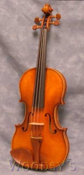 VL905 Professional Eastman Violin 4/4