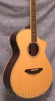 Breedlove Stage Series C25SR